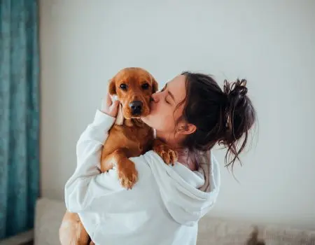 aromaterapia y perros