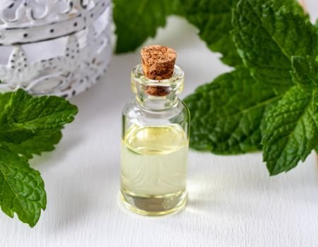 aceite esencial de menta
